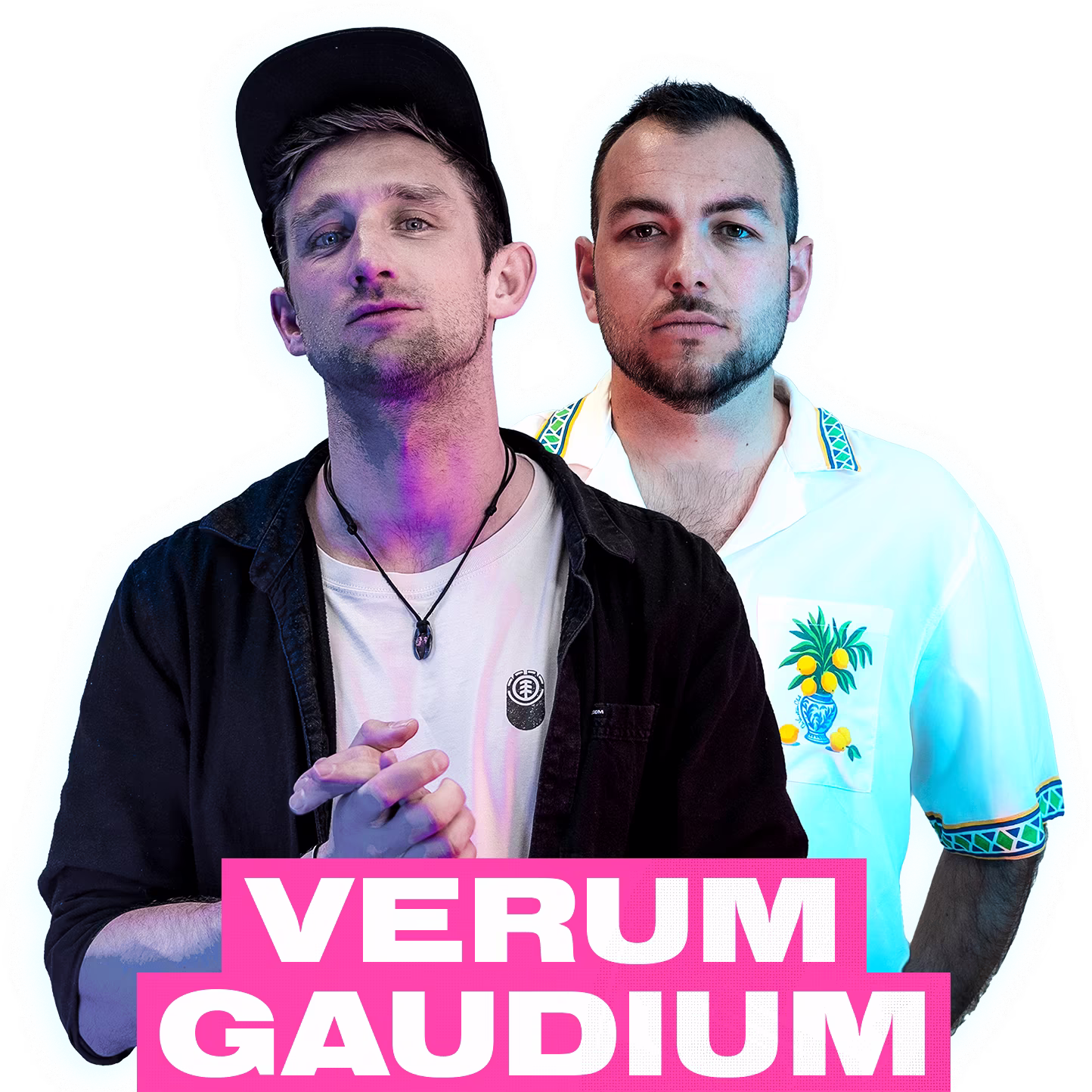 VERUM GAUDIUM
